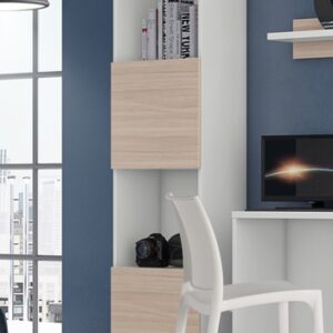 Bookcase 2 doors